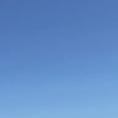 Profile image of 渡辺翔太