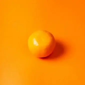 Profile image of 여우