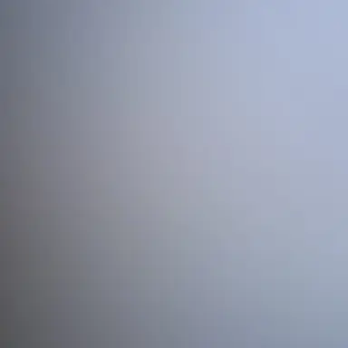 Profile image of 컨트리휴먼