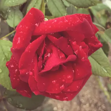 Profile image of 성담한