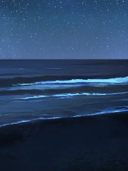 amane_omo의 浜辺にいるあの子