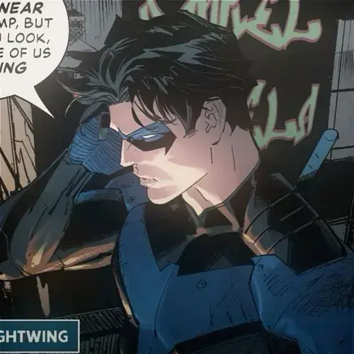 LushPotoo0981의 Richard Grayson-Nightwing
