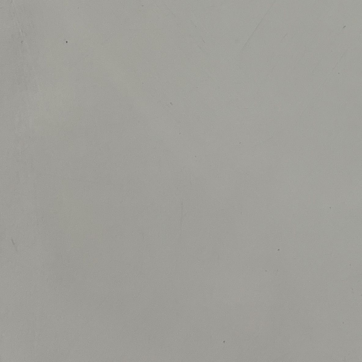신정환 대표 이미지