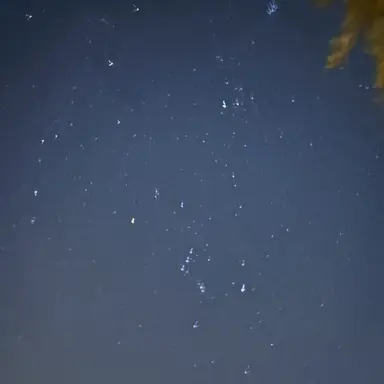 Profile image of 경 민