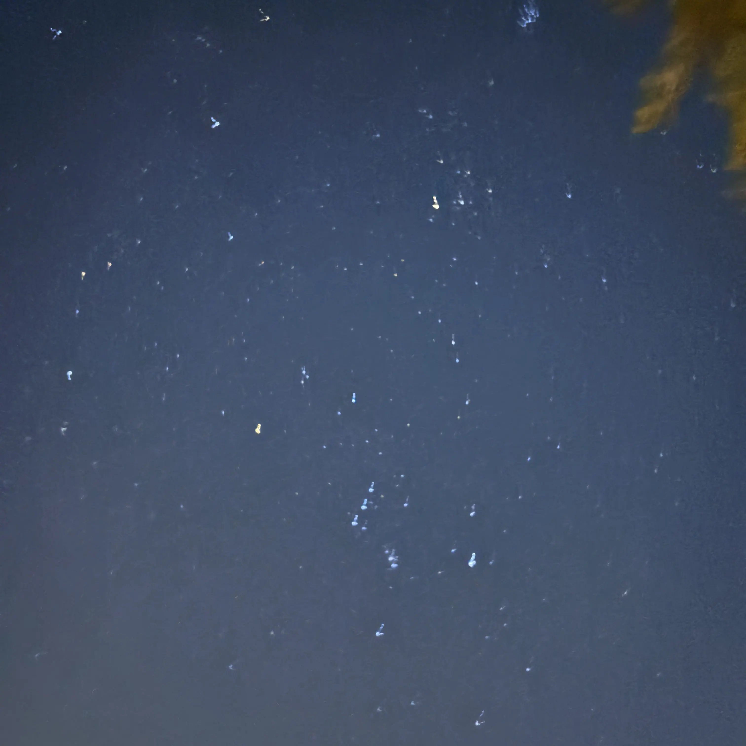 MoodyQuote3714의 피구부🏐