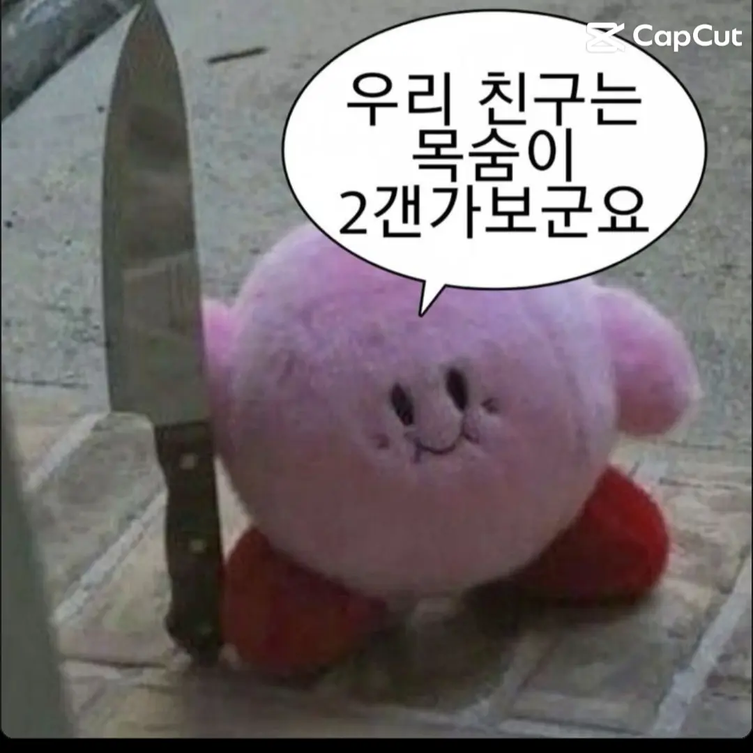CustomJar3116의 백앤아(고 고 캐치 고 바니몽1~4)