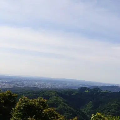 Profile image of 鏡美