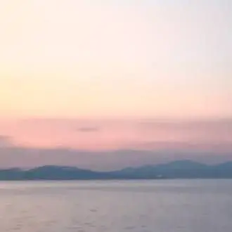 Profile image of 赤根  葵