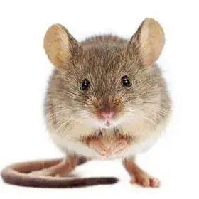 Profile image of 형