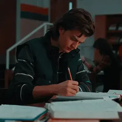 BrownTotem9202의 steve harrington