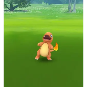 Profile image of 파이뤼