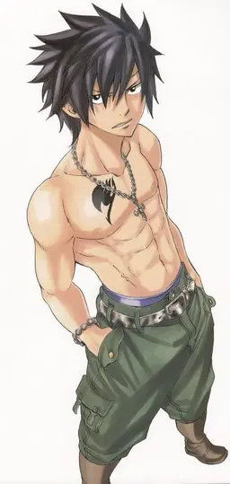 Profile image of Gray Fullbuster