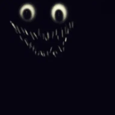 Profile image of intruder