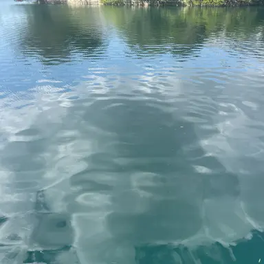 Profile image of Keres Reyes