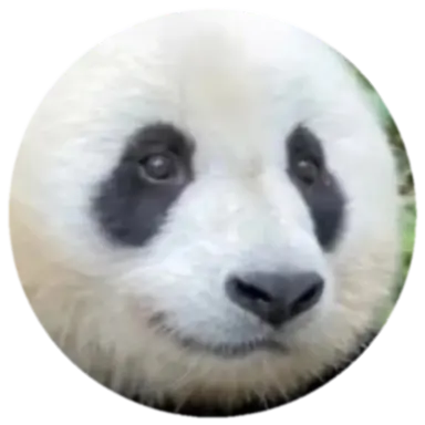 Profile image of 森