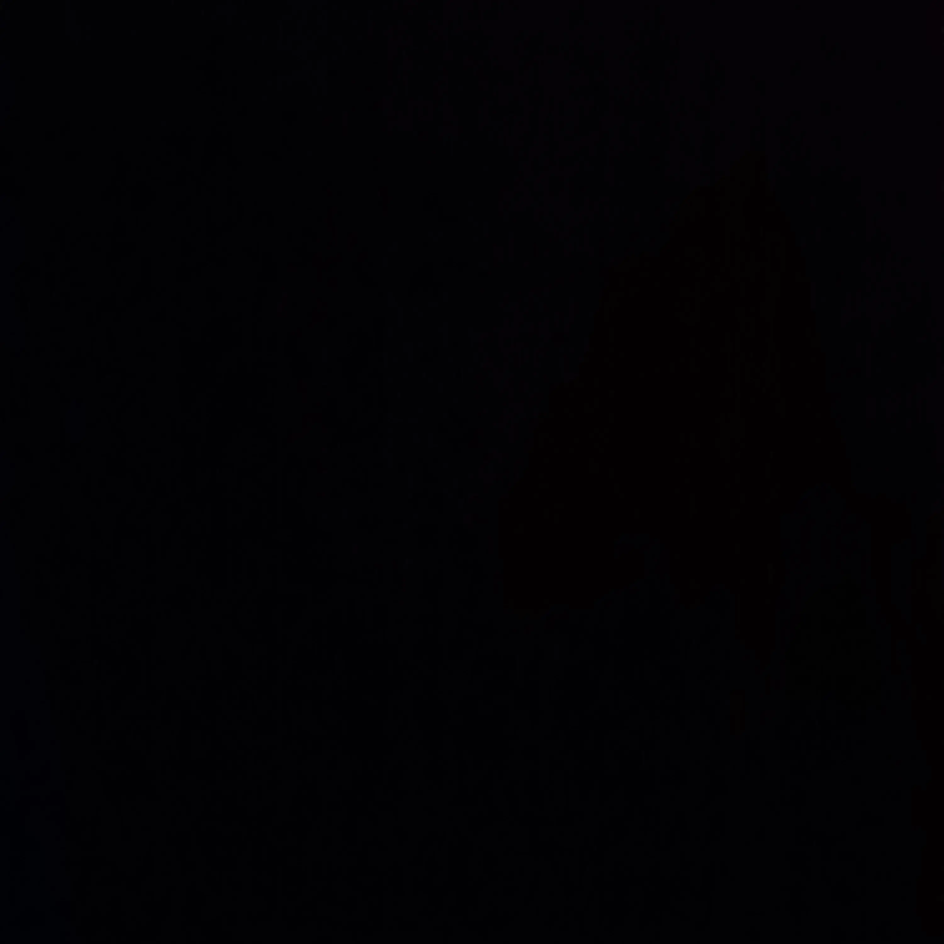 SWHS의 솔음요원