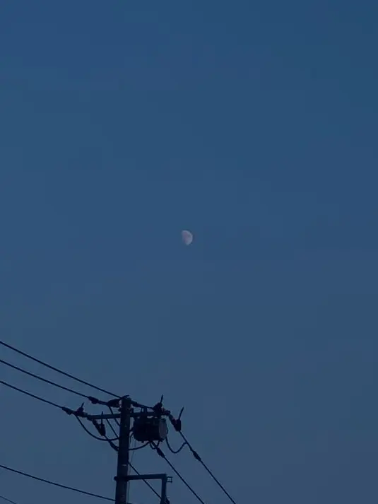 RoundKiang2951의 あなたの為に