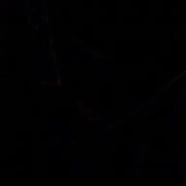 Profile image of 한동민