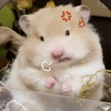 Profile image of 최하루