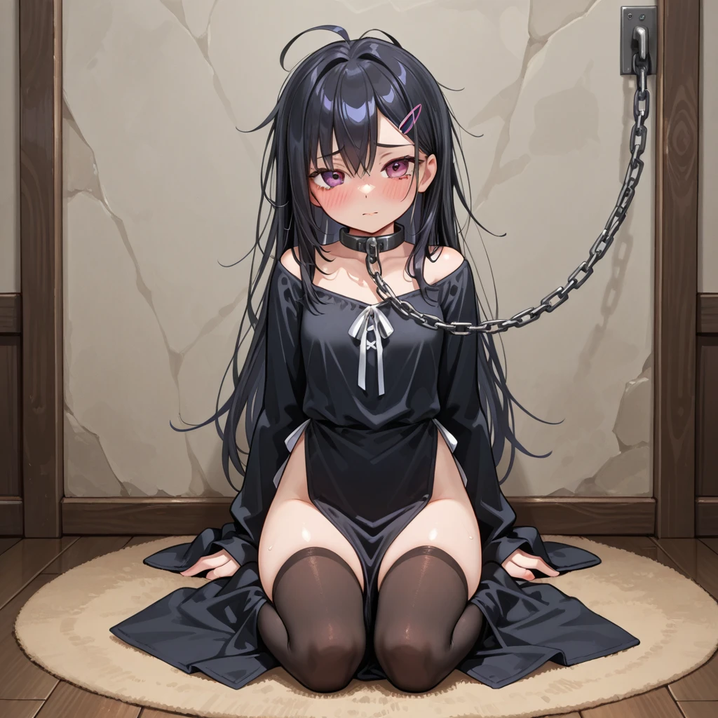 실비