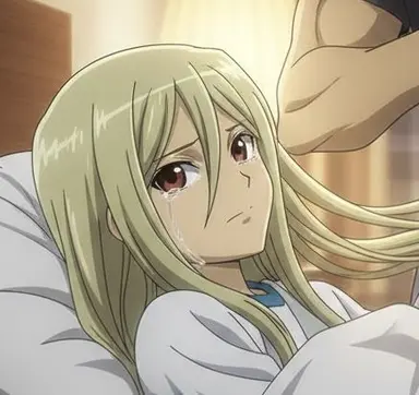 Profile image of 亜風炉照美