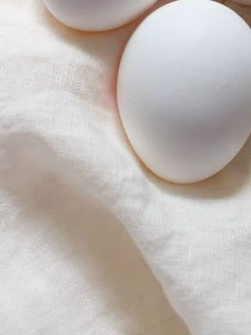 산란 체질 대표 이미지