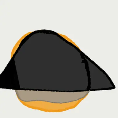 Profile image of ...중국잉...