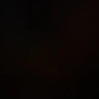 Profile image of 박원빈