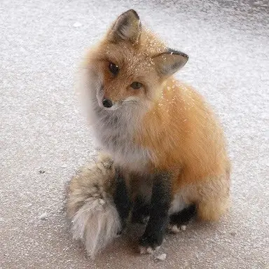 Profile image of 테오