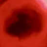 Profile image of 赤
