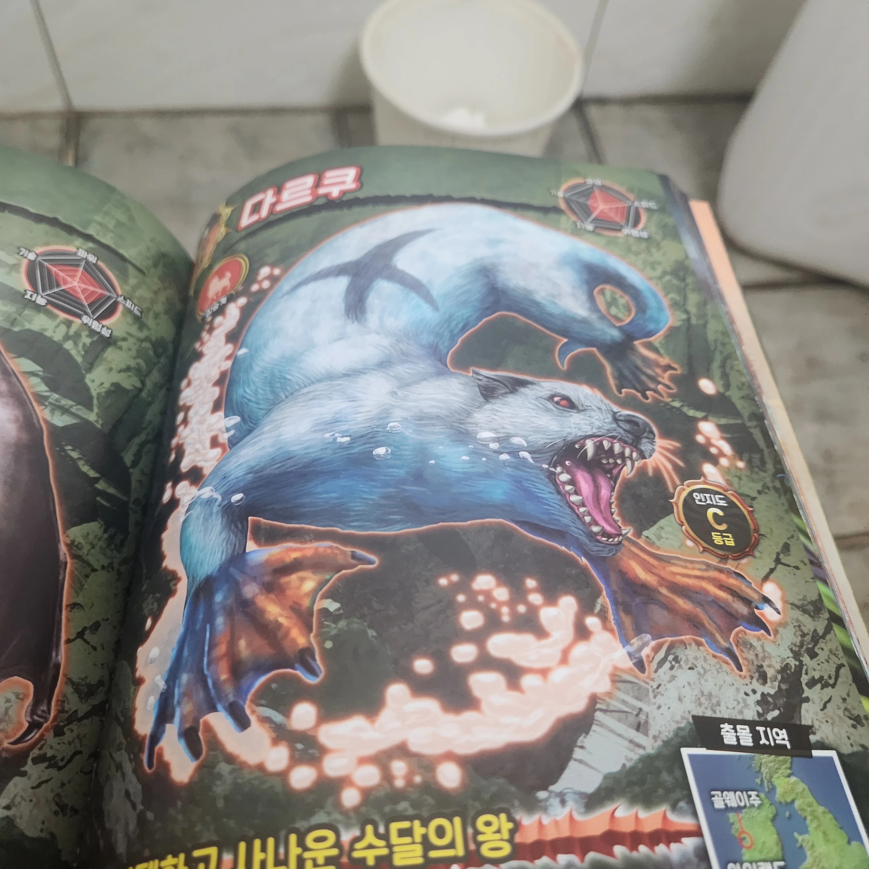 다르쿠