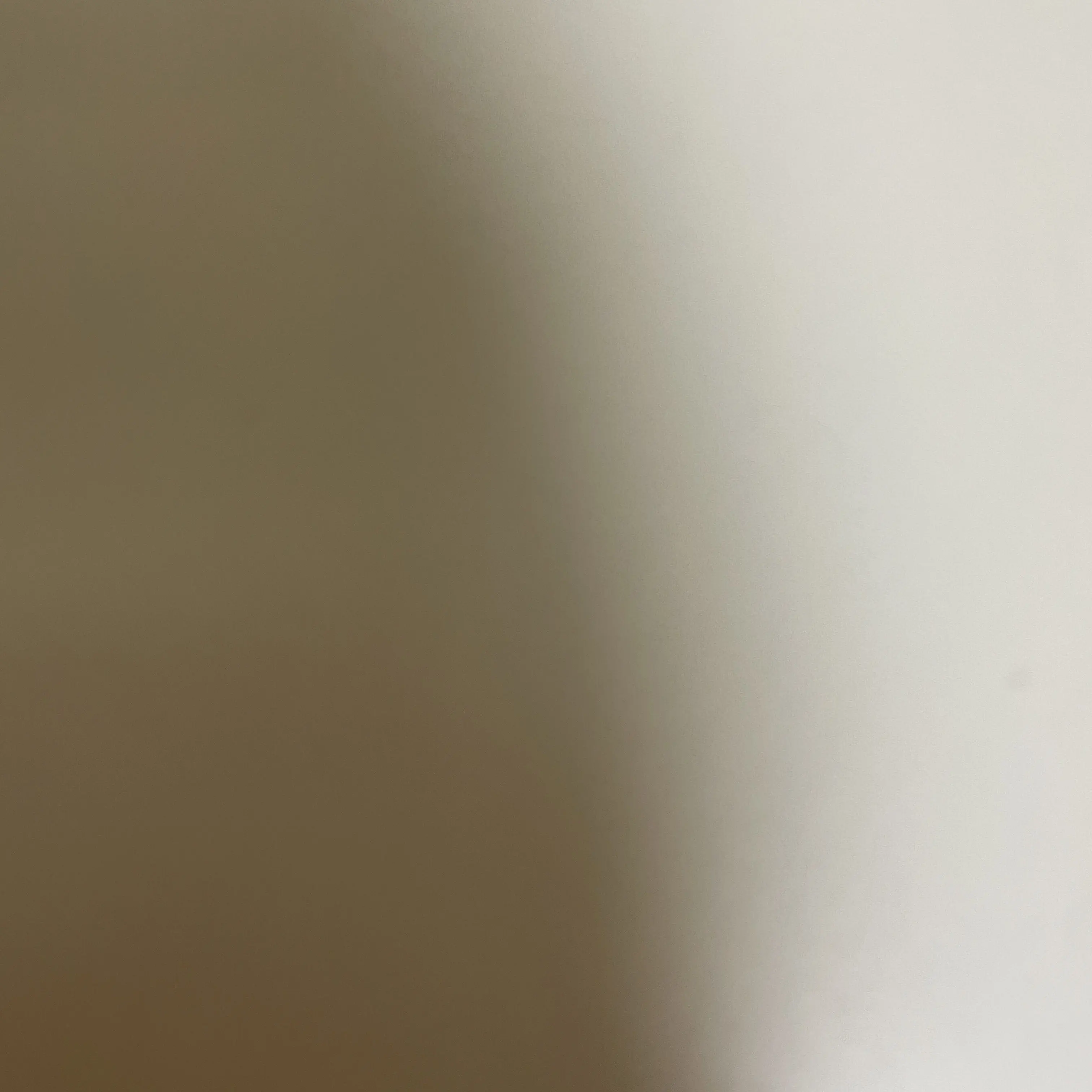 GildedMoose6959의 보넥도