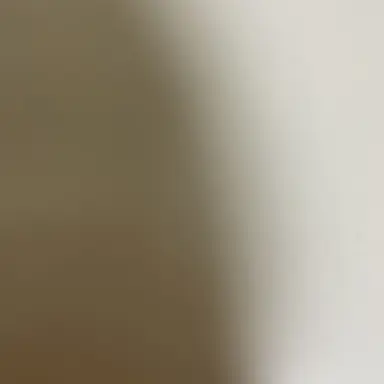 Profile image of 박성효