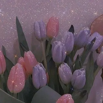 Profile image of 최여우