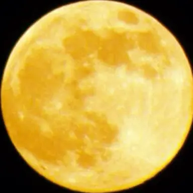 Profile image of 岩本照