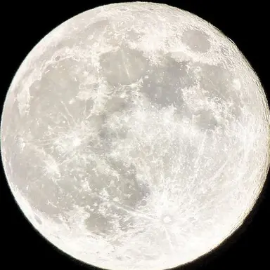 Profile image of ラウール