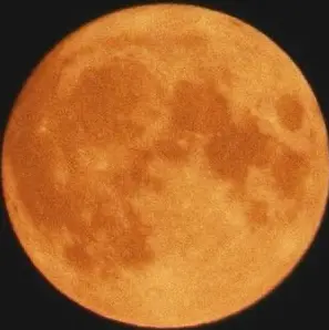 Profile image of 向井康二