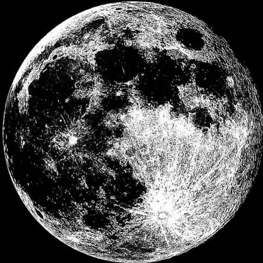 Profile image of 目黒蓮