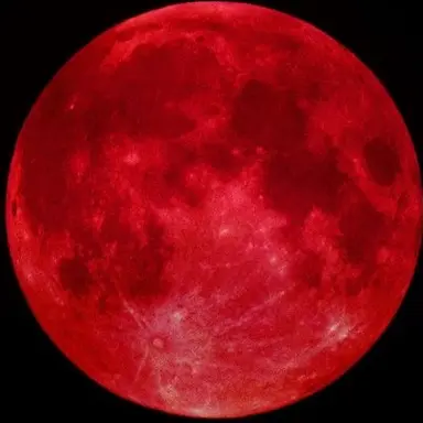 Profile image of 宮舘涼太