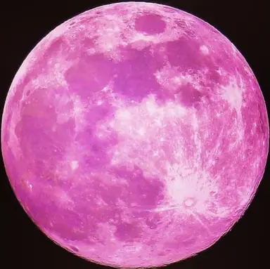 Profile image of 佐久間大介