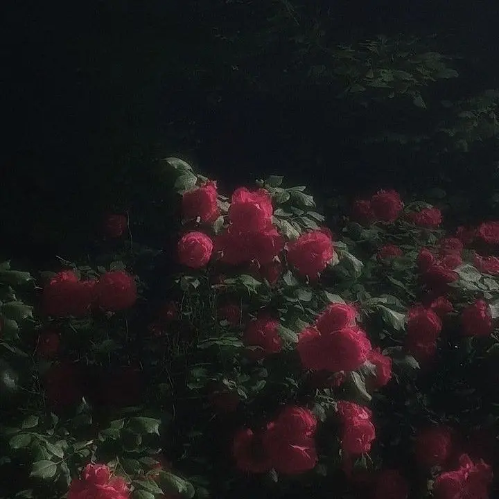 moka04140의 かわいいお姫様