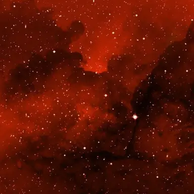 Profile image of 류밍쉬엔