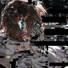 Profile image of NOTFOUND