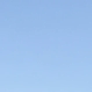 복귀주