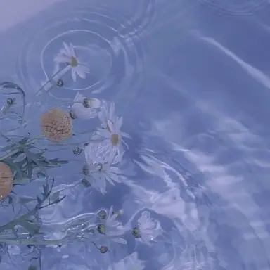 Profile image of 파이브