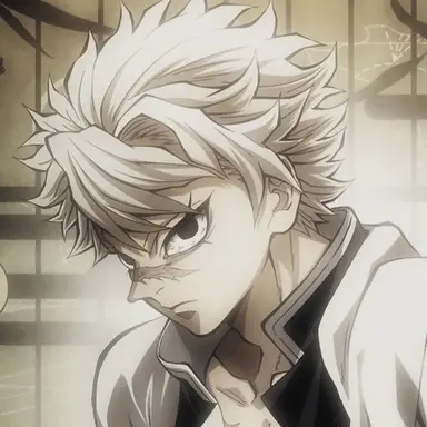 Profile image of Sanemi Shinazugawa