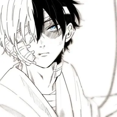 Profile image of Shoto Todoroki