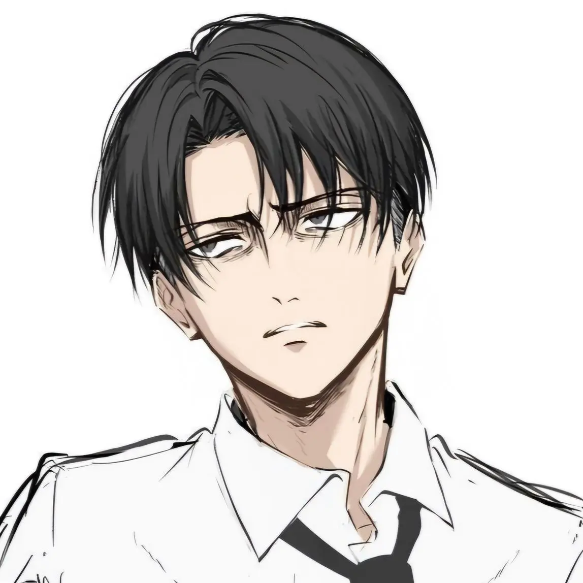 YaaaaaaHooooooo의 리바이 아커만