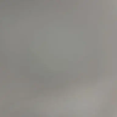 Profile image of M