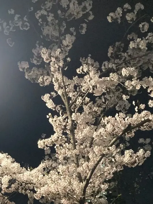 Lee.Jung의 이상원